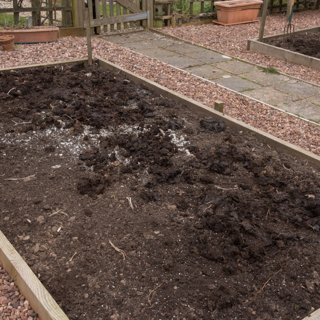 An empty prepared garden bed waiting to be planted