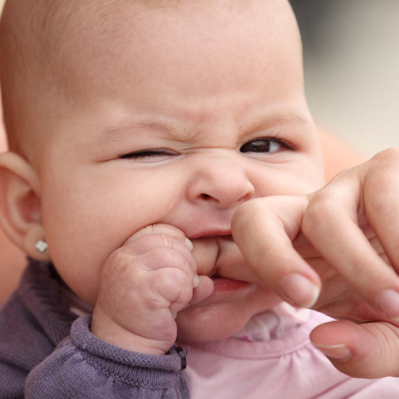 A teething baby looking into the camera while biting their parent's finger