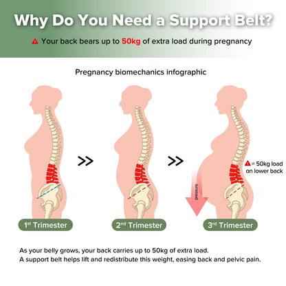 360° Maternity Lift & Support Band