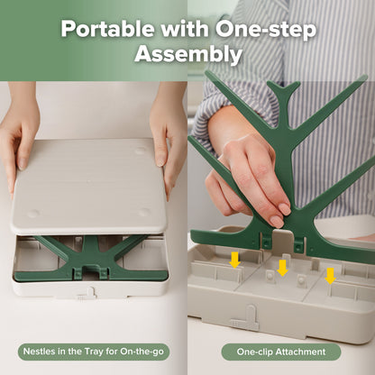 Easy-store Drying Tree & Tray Set