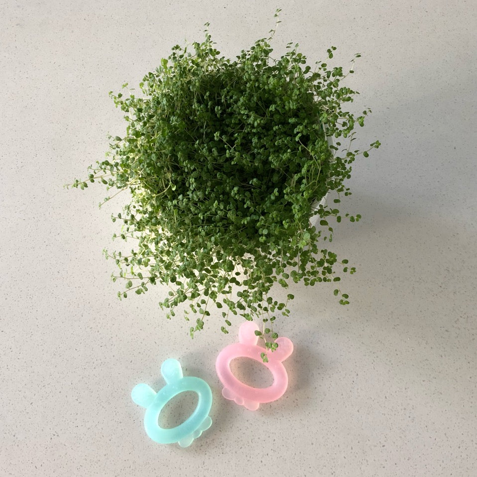 Silicone Rabbit Ear Teether | Haakaa.